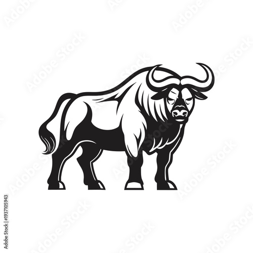 Strong bull standing steadily showing impressive large horns and thick body in solid form