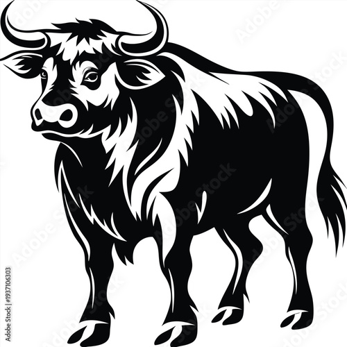 Powerful muscular bull stands firmly, showcasing curved horns and detailed musculature in black and white