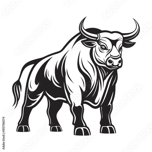 Powerful muscular bull stands firmly with its striking black silhouette against a white backdrop