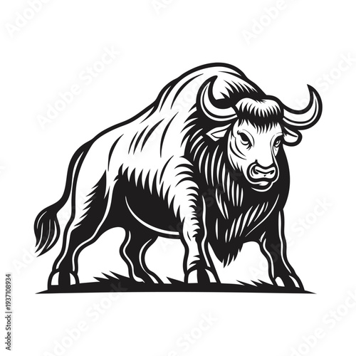 A stoic bull gazes forward with imposing horns within a striking dark silhouette