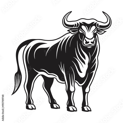 A strong black bull stands confidently, showcasing detailed musculature and sharp horns against plain background
