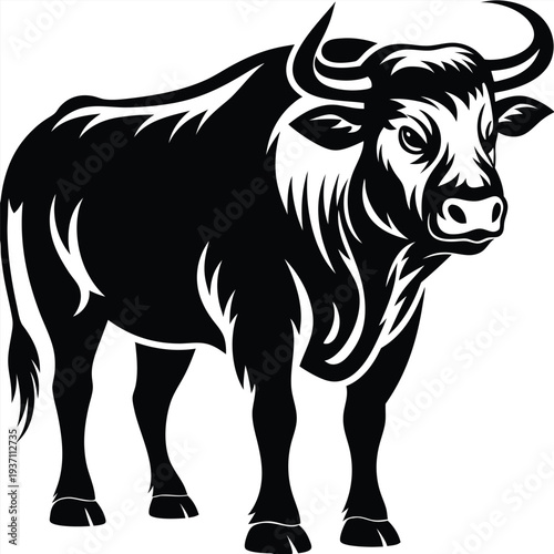 Strong bull gazes forward with intricate black and white detailing standing calmly