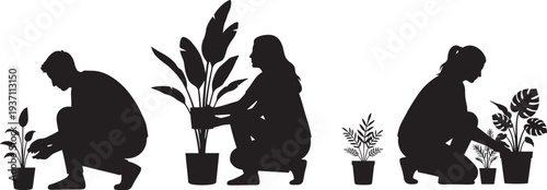 Silhouette vector illustration of people crouching and tending potted houseplants, indoor gardening scene with various tropical foliage, black outlines on white background.