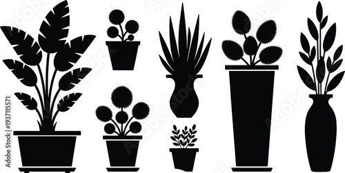 Black Tropical Palm Tree Silhouette Set and Potted Indoor Houseplant Collection with Exotic Foliage Leaves and Flowering Garden Trees Isolated on Plain White Background