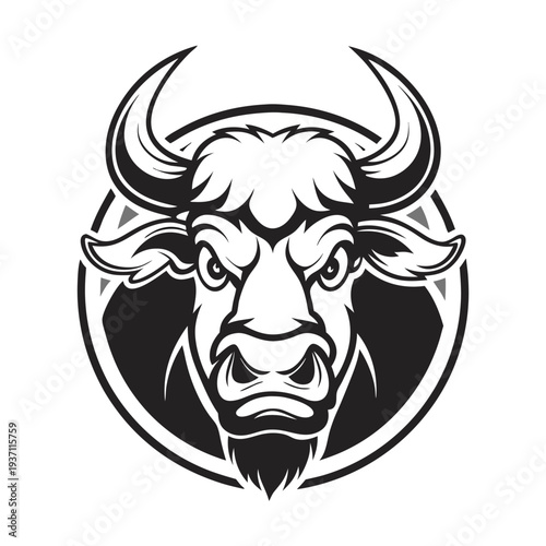 Strong muscular bull with horns is posing with his fists on the white background
