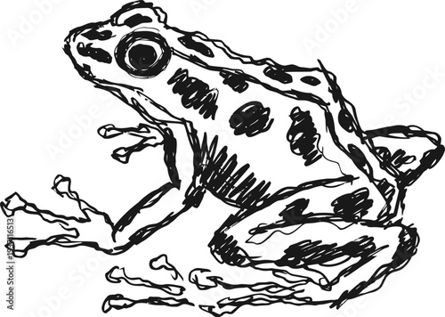Black and white sketch of a detailed frog with spotted skin, drawn in ink pen