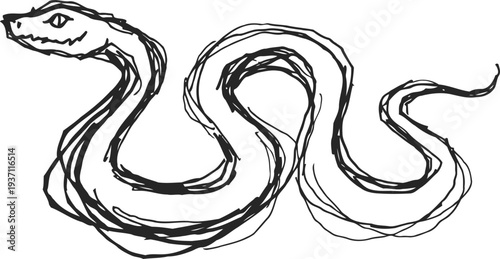 Hand drawn snake illustration with winding body and detailed head sketch in black ink