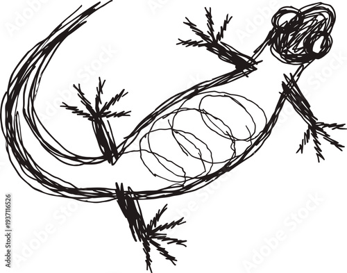 Sketch of a lizard with visible internal organs in black ink on a white background