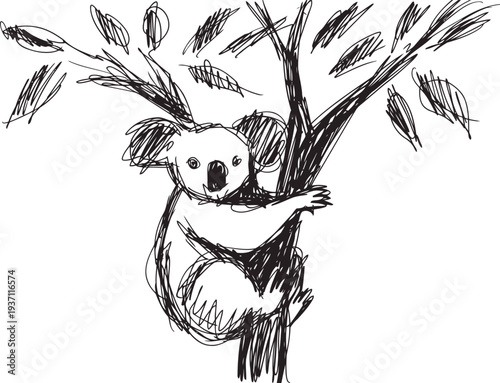 koala climbing eucalyptus tree sketch wildlife drawing, nature illustration, australian animal concept