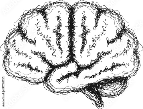 Abstract sketch of human brain with detailed cerebral cortex and neural pathways illustration
