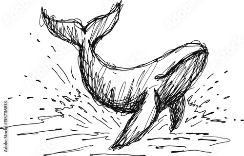 Whale breaching from ocean water hand drawn sketch of marine mammal diving and splashing in the sea