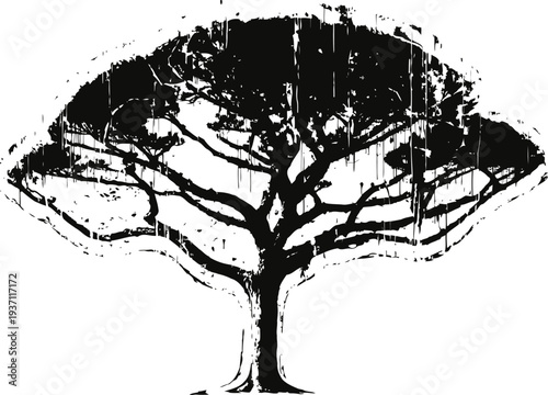 Black grunge tree silhouette with spreading branches and textured artistic design