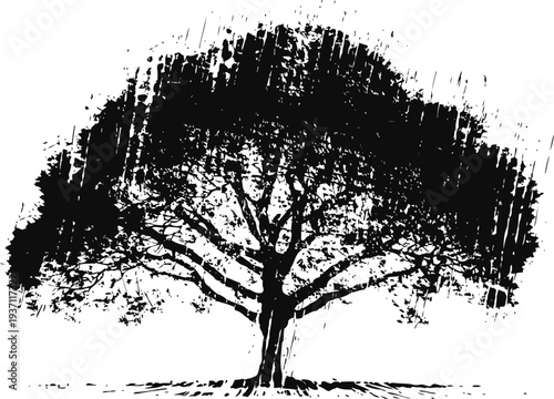 Large black silhouette of a spreading tree with dense foliage and textured branches on white background