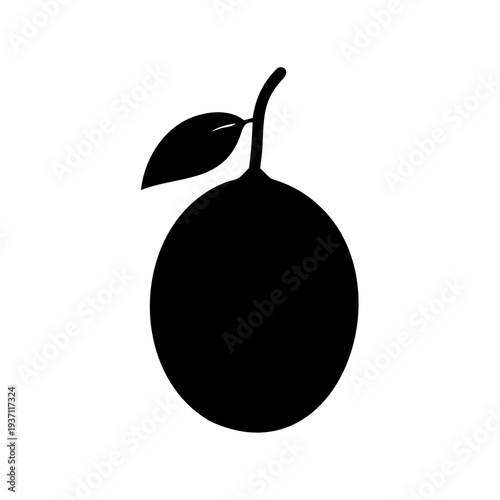 Silhouette of a citrus fruit with a stem and leaf on white background