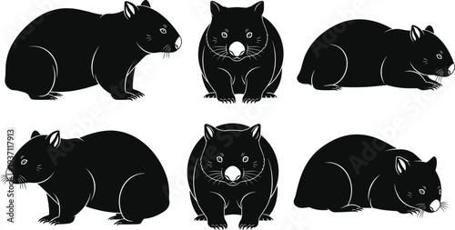 Wild wombat silhouettes in various poses including standing and sitting for Australian wildlife nature and animal conservation concepts