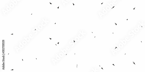 A flock of birds in flight against a stark white background