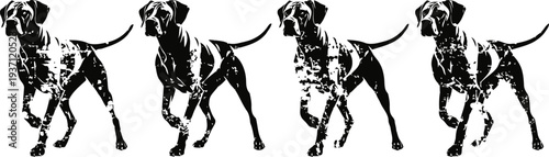 Four dalmatian dog silhouettes in different walking poses isolated on white background