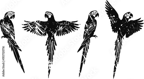 Silhouettes of parrots in various flying and perched poses on white background
