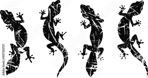 Grunge silhouette lizards in different climbing poses with textured distressed