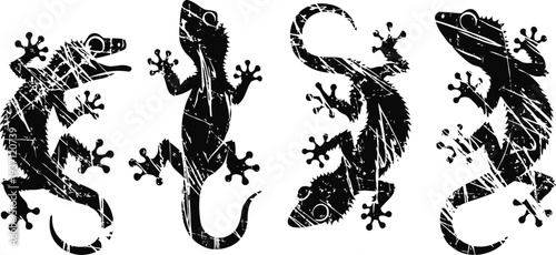 set of four black and white gecko illustrations with textured and scratched effects, various poses