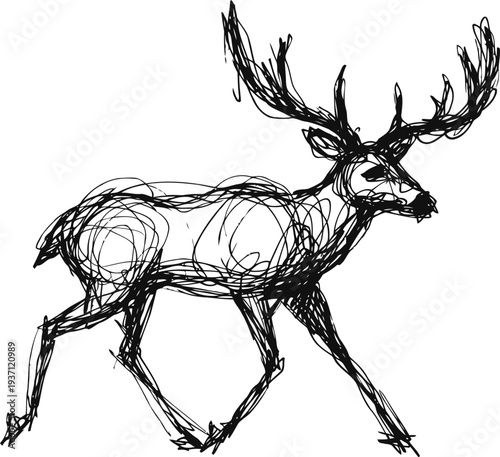 Abstract hand drawn deer with large antlers walking, ink sketch outline on white background