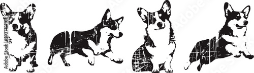 Four black and white pembroke welsh corgis silhouettes in different standing and sitting poses