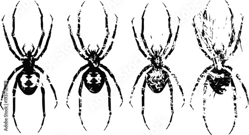 Black widow spider detailed silhouette set showing variations and progressive fading on white background