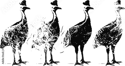Stylized guinea fowl illustration with textured black and white digital art effect, four bird silhouettes