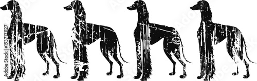 grunge silhouette of standing greyhound dog in four different poses