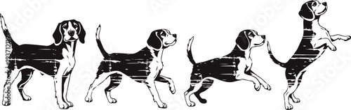beagle dog walking and jumping silhouette sequence pet animal movement and active puppy behavior
