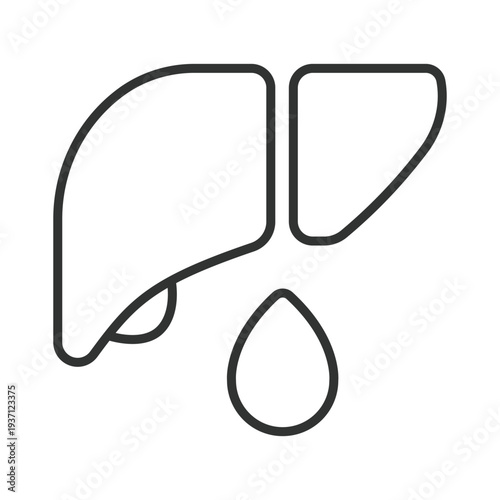 Human liver organ icon in line design. liver, organ, anatomy, medical, healthcare, biology, digestion on white background vector. liver editable stroke icon