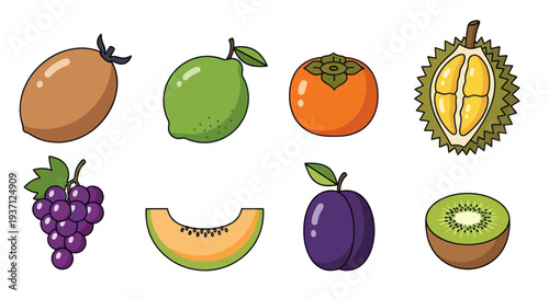 Assorted colorful fresh fruits illustration