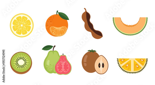 Assorted colorful fruits illustration