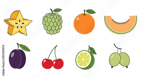 Assorted colorful fruits illustration