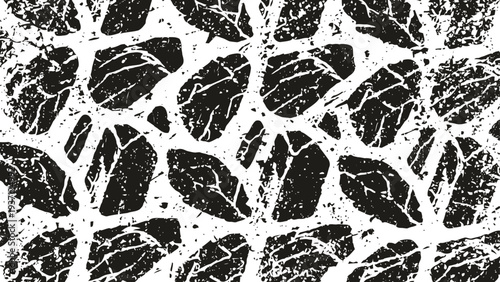 Abstract black and white cracked pattern design with irregular shattered stone texture background