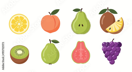 Assorted fruits illustrations on white background