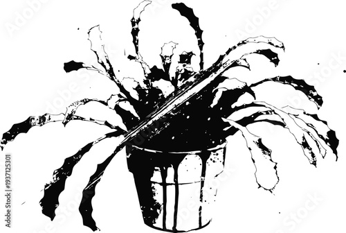 decorative potted plant with long, spiky leaves for indoor botanical decor and natural greenery