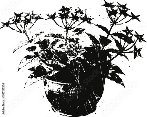 Potted flowering plant silhouette with detailed smaller flowers and broad leaves