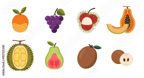Assorted tropical fruit collection illustration