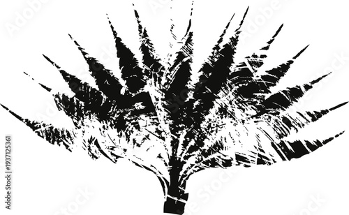 Black and white spiky plant silhouette with sharp leaves and textured ink effect