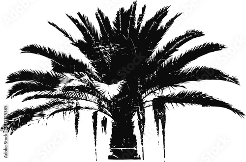 Black silhouette of a palm tree with spread fronds on white background, tropical nature symbol