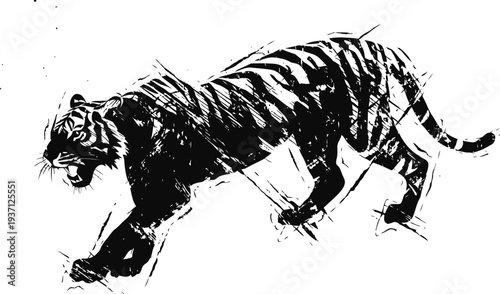 black tiger sketch fierce wild animal walking side view ink drawing with dynamic lines and dramatic shading