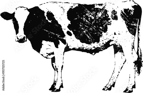 Black and white cow silhouette isolated on white background farm animal standing side view