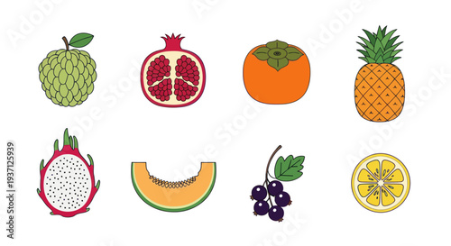 Assortment of colorful fruit illustrations