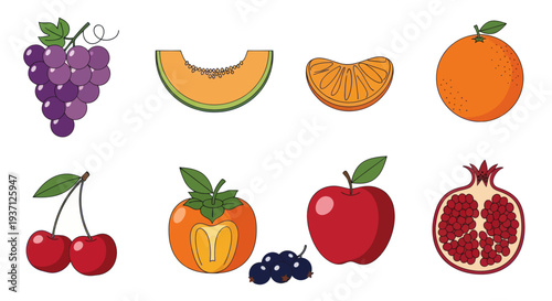 Assortment of colorful fruit illustrations