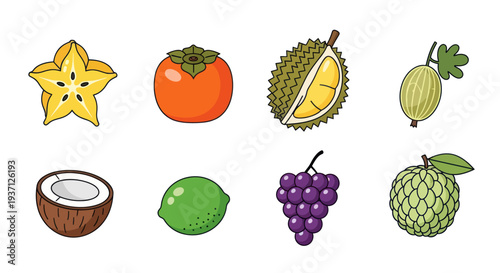 Assortment of colorful tropical fruit illustrations