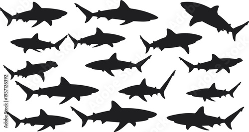 Silhouette set of sharks in various swimming poses, black ocean predator vector collection for marine, underwater, sea life design themes