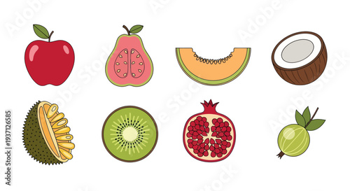 Assortment of freshly cut fruits illustration