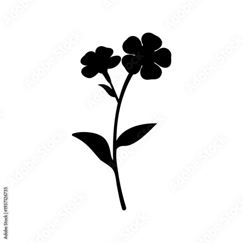 Elegant silhouette illustration of a flowering plant with two prominent blossoms