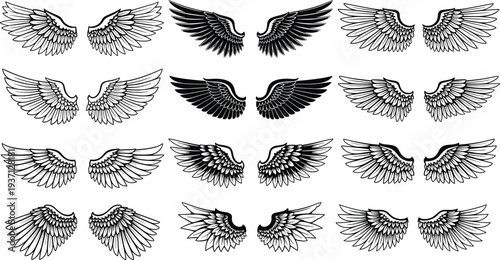 Angel wings outline collection, detailed feather wing silhouettes set, flying bird wing tattoo designs, heraldic decorative wings vector illustration pack